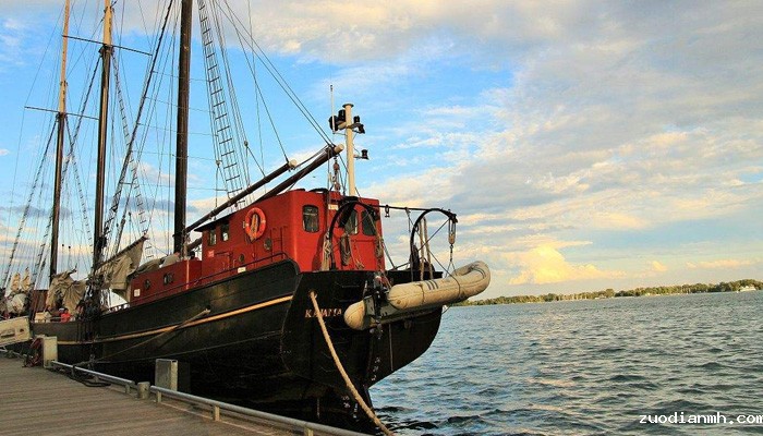 上海进出口贸易公司