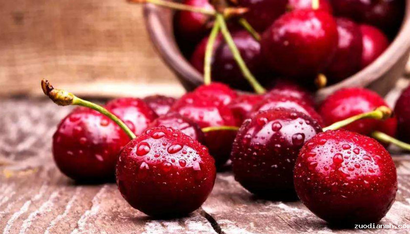 食品进口报关公司