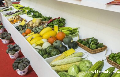 处理食品进口报关申报你还有很多需要学