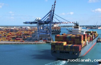 伟德w88直营平台官网进口报关公司讲述海关申报要重视规格