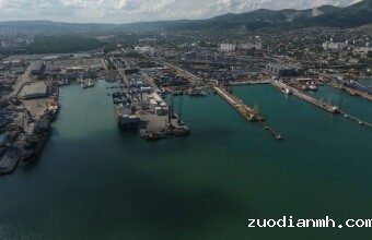 伟德w88直营平台官网进口报关公司如何处理没有进出口权的报关、出口和交货