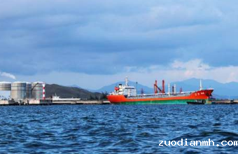 进口报关公司能为客户的国际业务的保驾护航