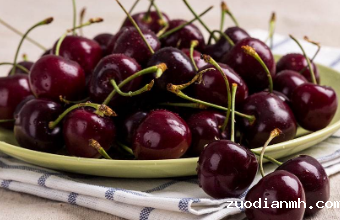 食品进口代理报关公司更注重哪些问题呢？