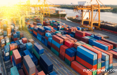 依照在我国《海关法》的要求，进出口代理的基本流程以及材料都需要什么