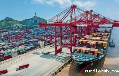 哪些方面可以体现进出口代理的专业化？