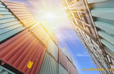 进口报关中可能会出现的错误有哪些呢？