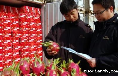 关于食品进口报关你应该知道的几点知识