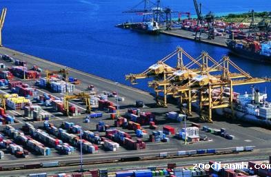 了解木材进口报关的相关知识尤为重要