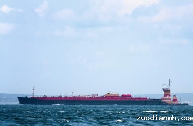 食品进口报关代理的工作流程和服务内容是什么？