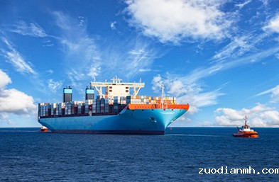 食品进口报关过程中需要特别注意哪些要求？