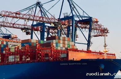 上海出口货代公司负责处理国际贸易物流的重要环节，发挥着关键作用