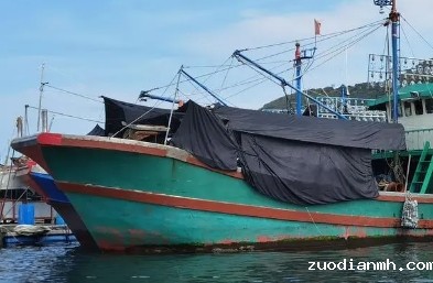 进口货代是国际贸易重要组成部分，对于货物运输等环节起着关键作用