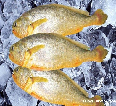 乌拉圭小黄鱼进口报关