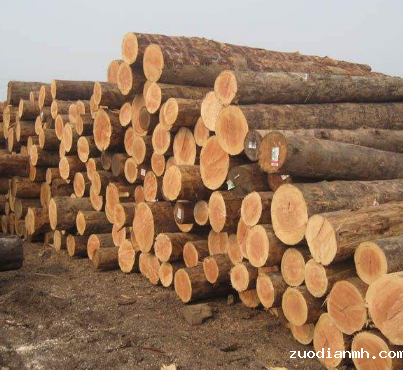 广州贸易公司-微凹黄檀进口报关案例